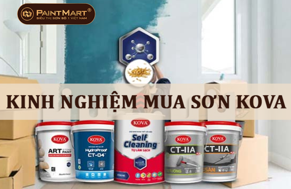 Kinh nghiệm khi mua sơn Kova mà bạn nhất định phải biết